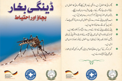 Leaflet-Mosquito